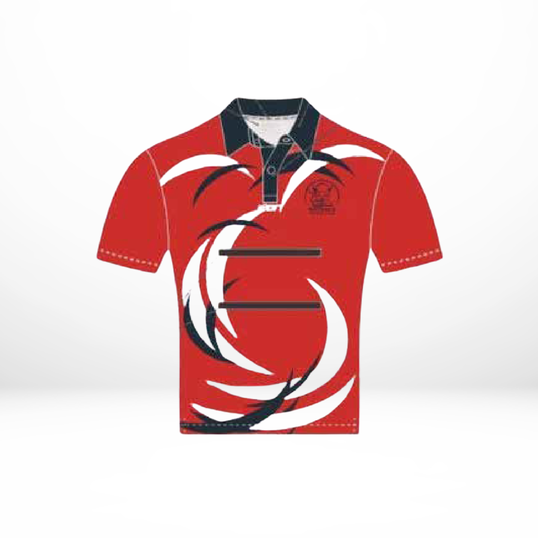 Waybacks Inclusive Playing Polo