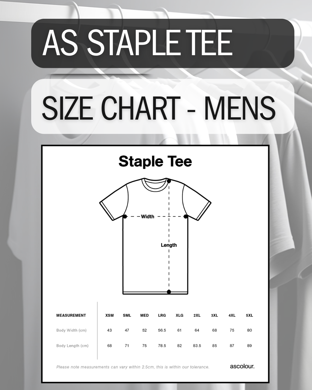 Size chart for men's Staple Tee with t-shirt graphic and measurement details.
