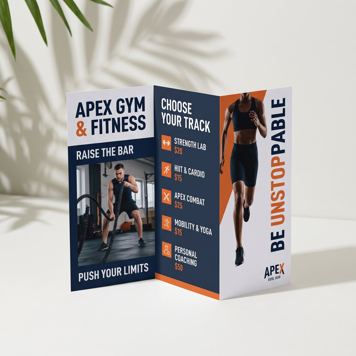 Z-fold Brochure