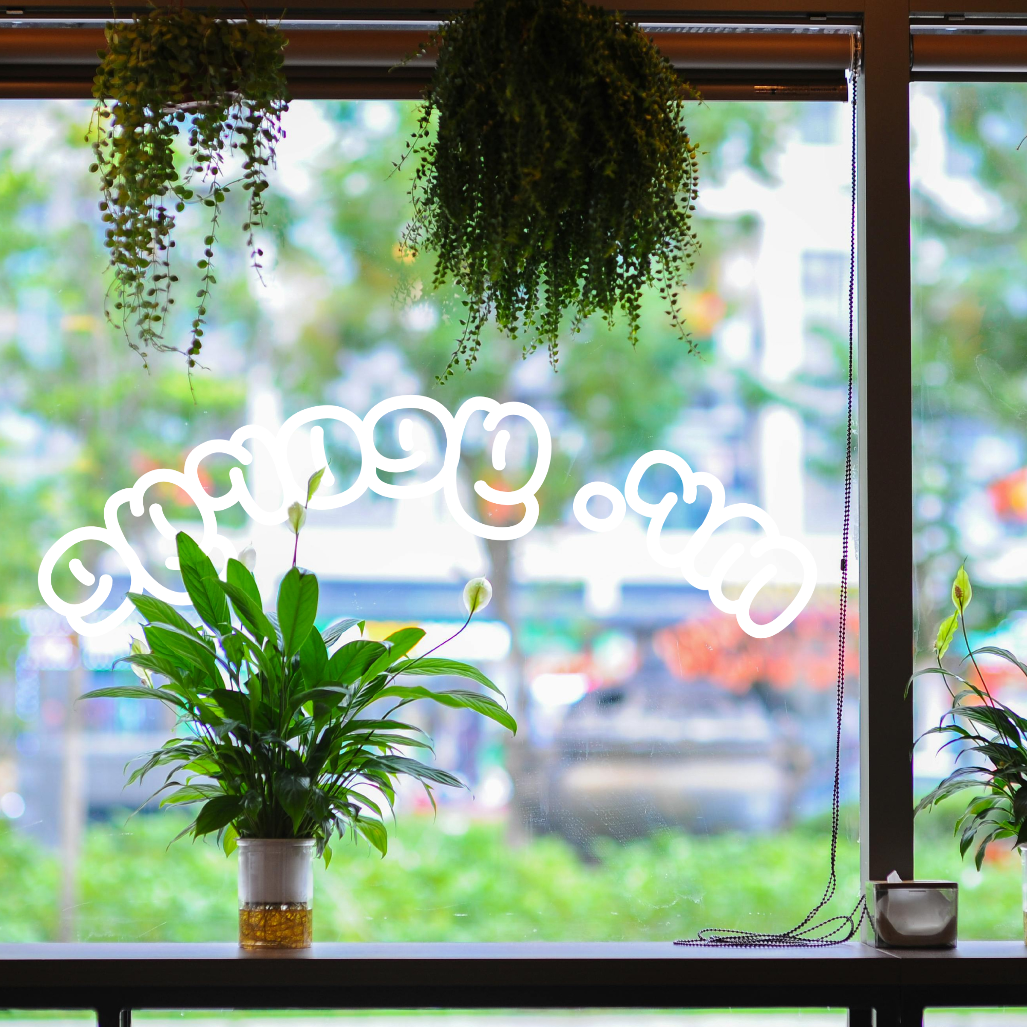 Custom vinyl lettering on a window.