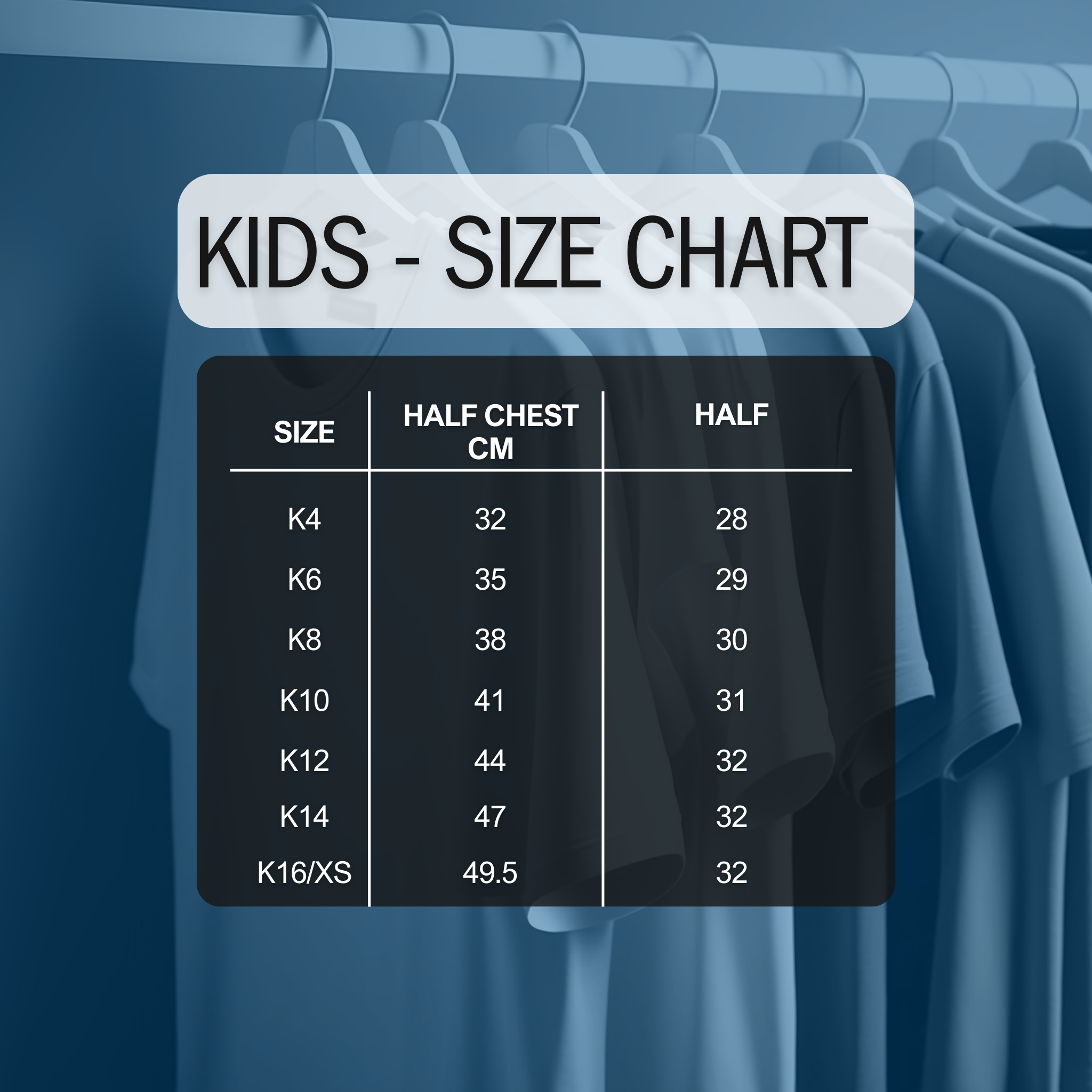 Wayback 2024 Season Sponsor Polo