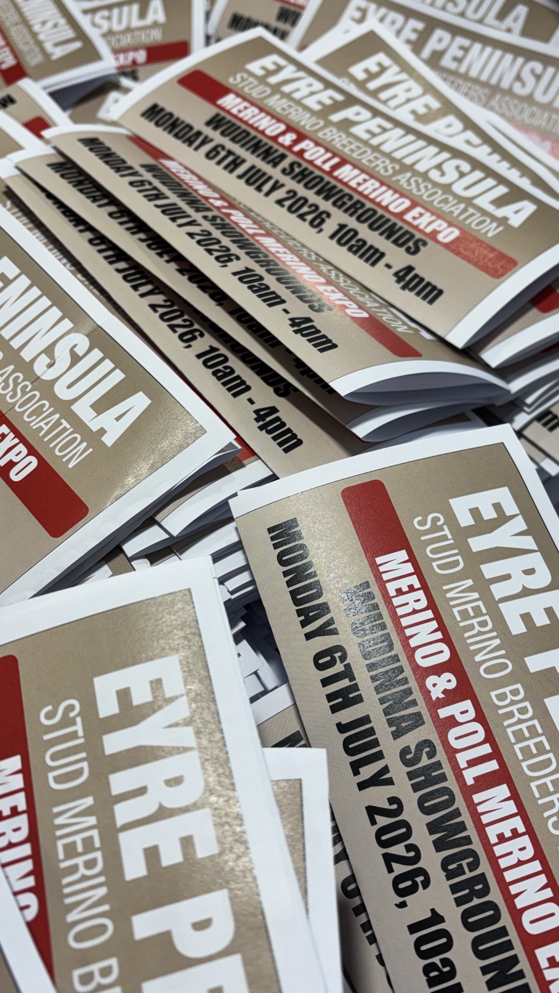 A4 to DL Folded Brochures