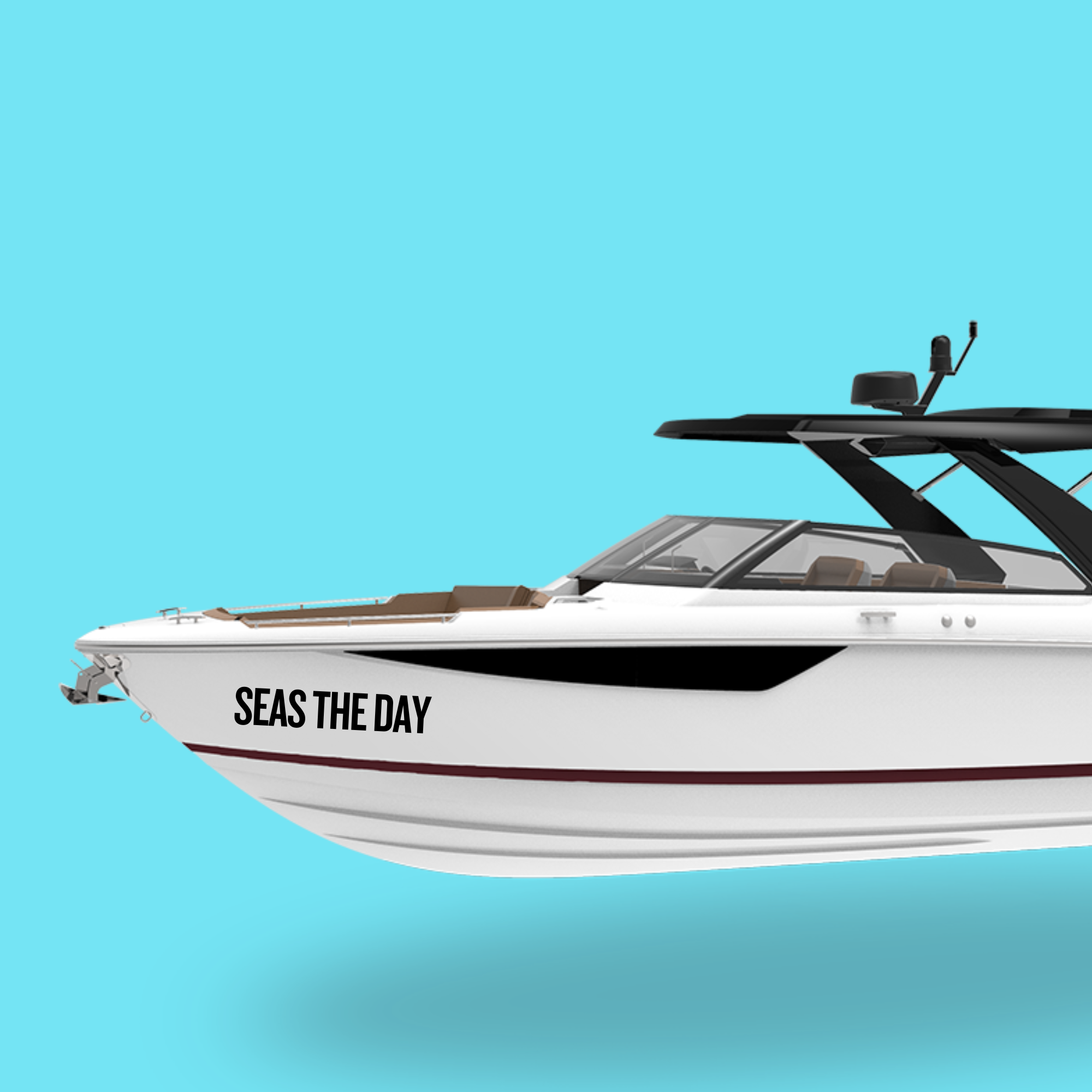 Custom vinyl lettering on a boat